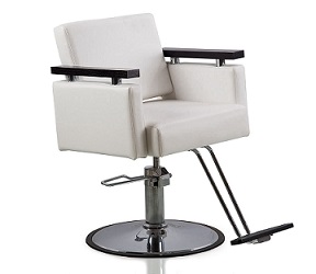 Styling - Salon Chair