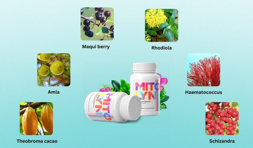 imgi_23_mitolyn-ingredients